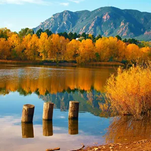 A river with trees background